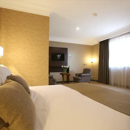 黎莱斯拉法托丽雅酒店 4*